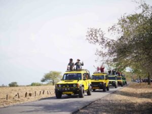 Safari to Taman Nasional Baluran